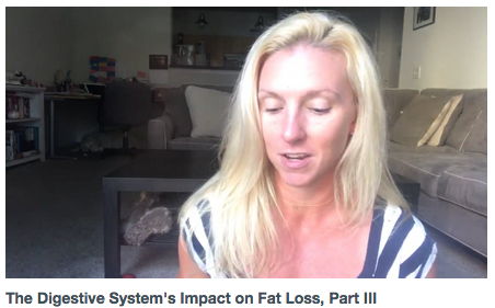 The Digestive System’s Impact on Fat Loss, Part III