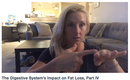 The Digestive System’s Impact on Fat Loss, Part IV