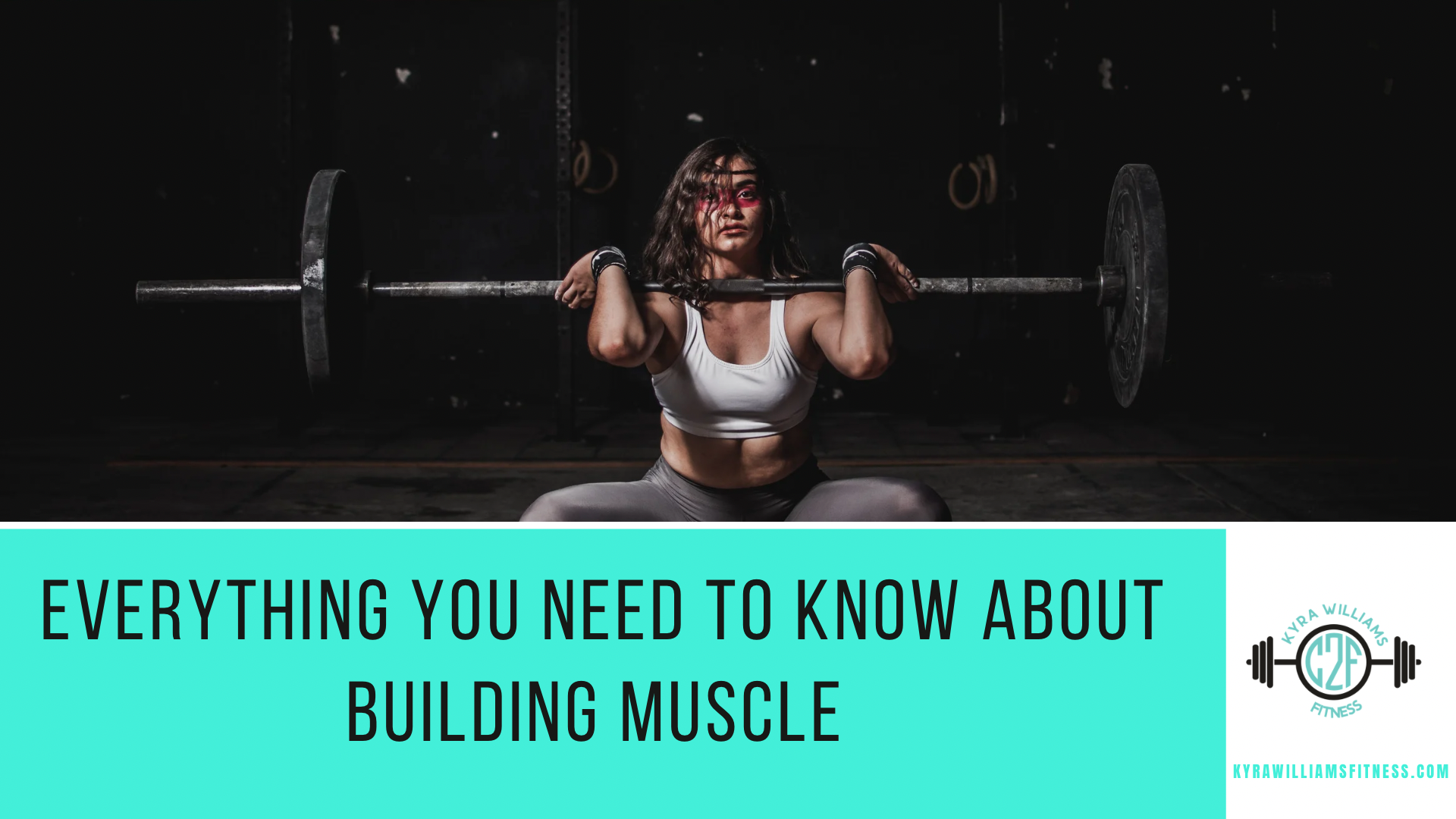 Everything You Need to Know About Building Muscle