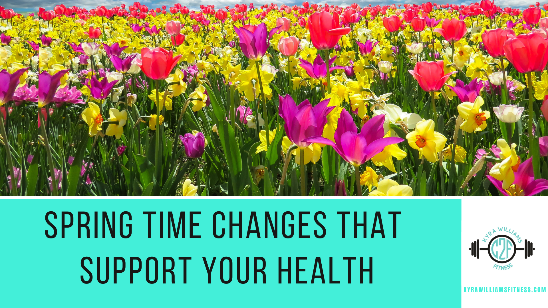 Spring Time Changes That Will Support Your Health