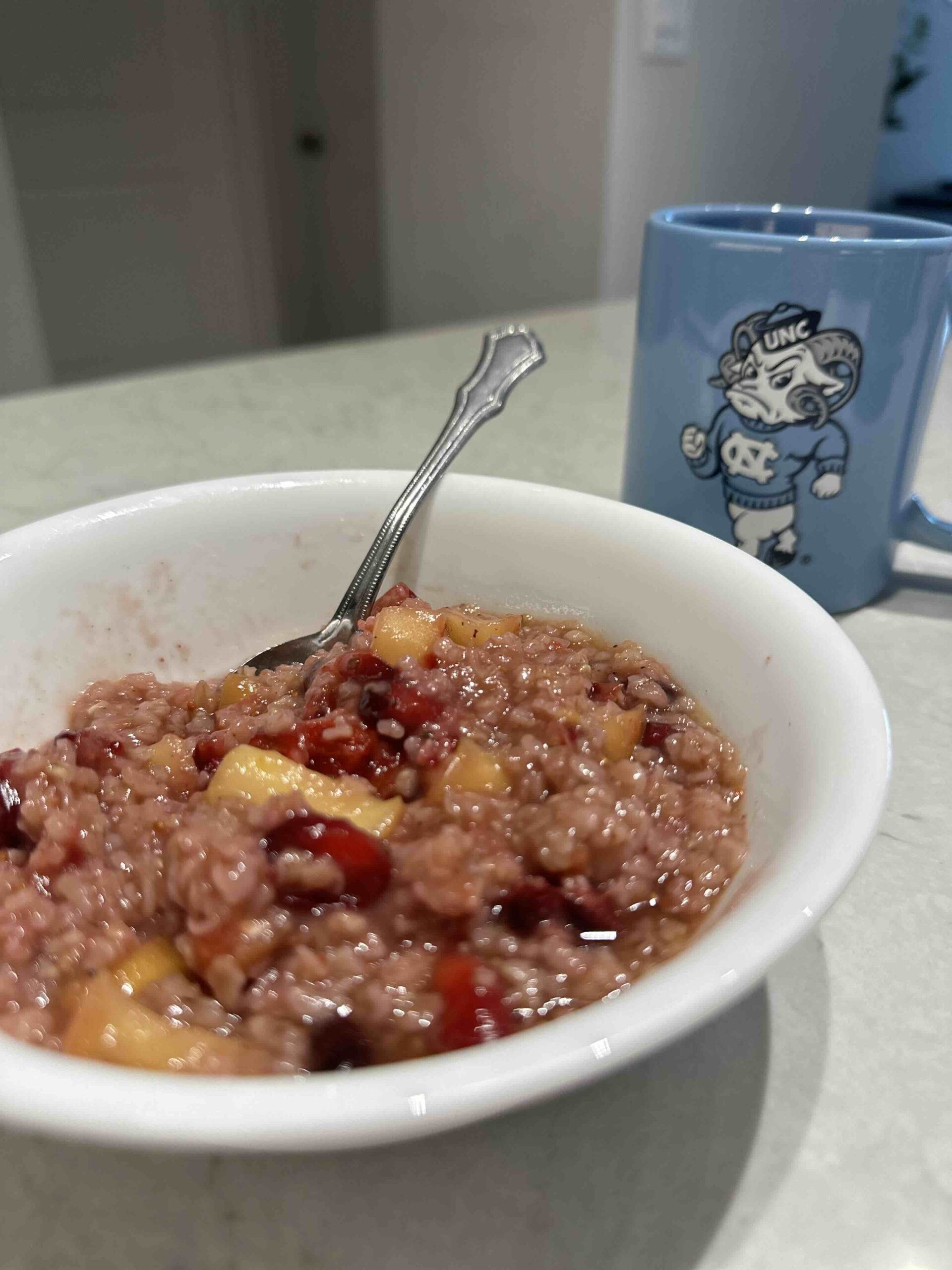 Cran Apple Oats