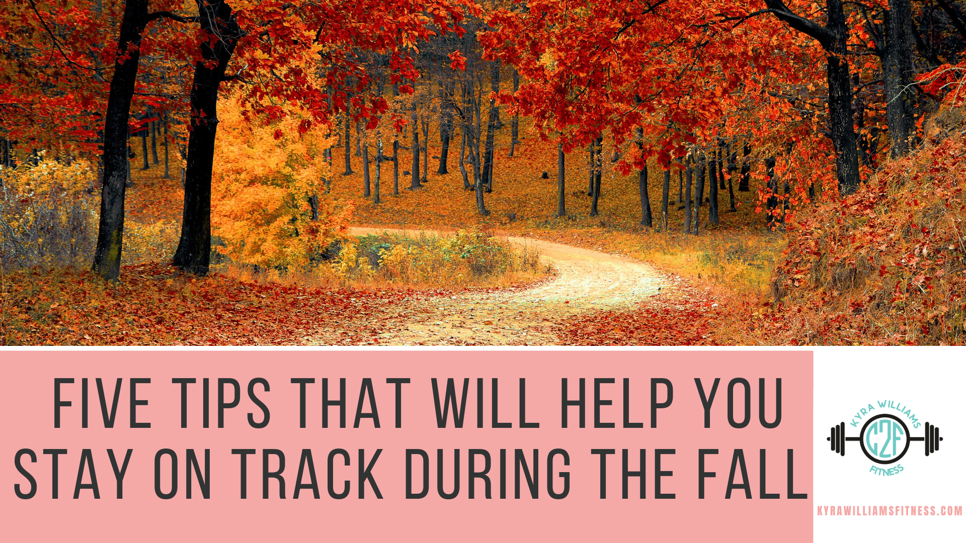 Five Tips That Will Help You Stay On Track During The Fall