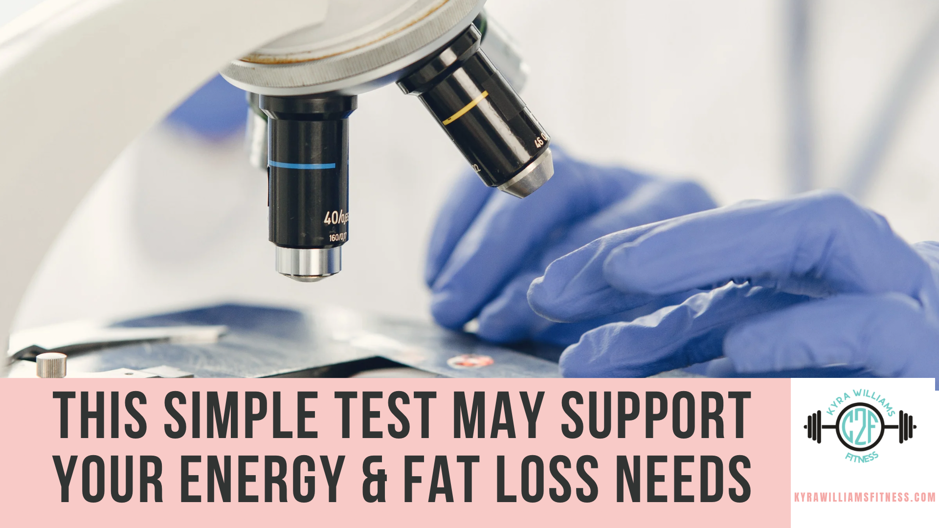 Hair Tissue Mineral Analysis: What It Is and How It Supports Metabolism and Fat Loss
