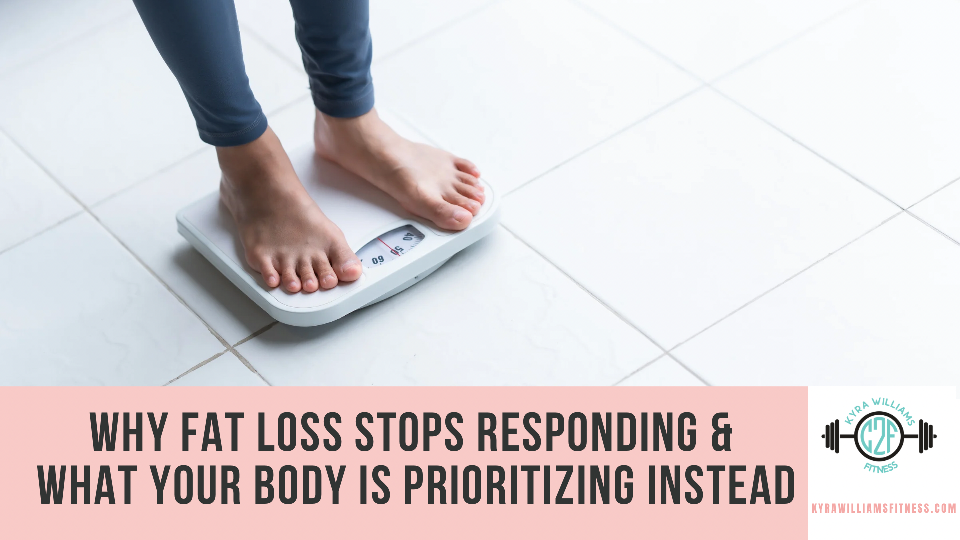 Why Fat Loss Stops Responding (And What Your Body Is Prioritizing Instead)